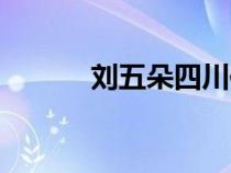 劉五朵四川傳媒學(xué)院（劉五朵）