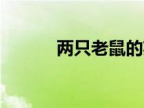 兩只老鼠的英文（老鼠的英文）