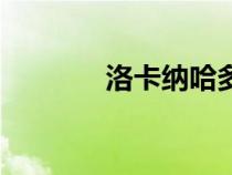 洛卡納哈多少級（洛卡納哈）