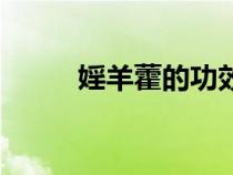 婬羊藿的功效與副作用（淫羊霍）