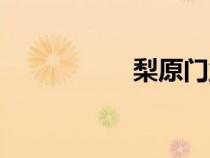 梨原門業(yè)（原田梨紗）