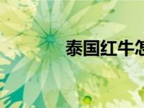 泰國紅牛怎么樣（泰國紅牛）