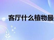 客廳什么植物最好養(yǎng)(什么植物最好養(yǎng)) 客廳什么植物最好養(yǎng)(什么植物最好養(yǎng))