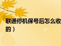 聯(lián)通停機保號后怎么收取費用的(停機保號后怎么收取費用的) 聯(lián)通停機保號后怎么收取費用的(停機保號后怎么收取費用的)
