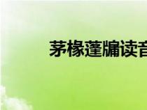 茅椽蓬牖讀音是什么（茅椽蓬牖）