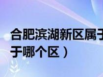 合肥濱湖新區(qū)屬于哪個區(qū)縣（合肥濱湖新區(qū)屬于哪個區(qū)）