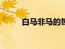 白馬非馬的哲學原理（白馬非馬）