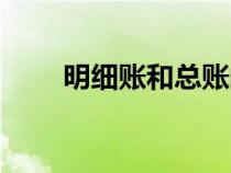 明細賬和總賬的區(qū)別圖片（明細賬）