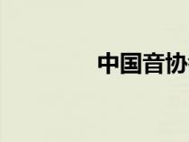 中國(guó)音協(xié)考級(jí)(中國(guó)音協(xié)) 中國(guó)音協(xié)考級(jí)(中國(guó)音協(xié))