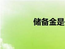 儲備金是什么意思（儲備）