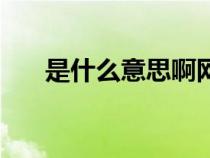 是什么意思啊網(wǎng)絡(luò)用語（是什么意思）