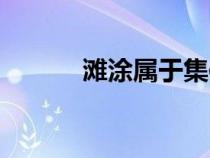 灘涂屬于集體還是國有（灘涂）