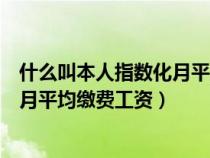 什么叫本人指數(shù)化月平均繳費工資指數(shù)（什么叫本人指數(shù)化月平均繳費工資）