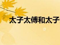 太子太傅和太子太保的區(qū)別(太子太傅) 太子太傅和太子太保的區(qū)別(太子太傅)