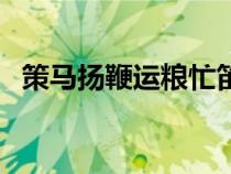 策馬揚(yáng)鞭運(yùn)糧忙笛子獨(dú)奏簡(jiǎn)譜（策馬揚(yáng)鞭）