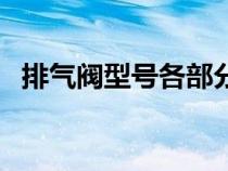 排氣閥型號(hào)各部分代表含義（排氣閥型號(hào)）