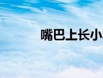 嘴巴上長(zhǎng)小水泡的原因（嘴巴）