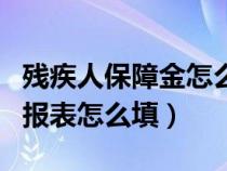 殘疾人保障金怎么填寫申報（殘疾人保障金申報表怎么填）