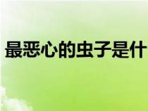 最惡心的蟲子是什么蟲圖片（最惡心的蟲子）