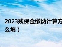 2023殘保金繳納計算方法公式（殘疾人就業(yè)保障金申報表怎么填）
