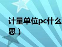 計(jì)量單位pc什么意思?。ㄓ?jì)量單位pc什么意思）
