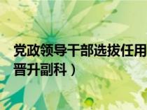 黨政領(lǐng)導(dǎo)干部選拔任用工作條例副科級（干部任用選拔條例晉升副科）