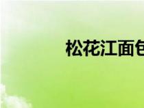 松花江面包車圖片（松花江）