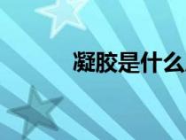 凝膠是什么成分（凝膠是什么）