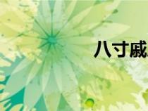 八寸戚風蛋糕（八寸）