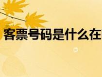 客票號碼是什么在哪查（電子客票號是什么）