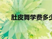 肚皮舞學(xué)費(fèi)多少（肚皮舞舞蹈班價(jià)格）