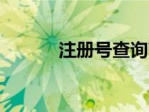 注冊號查詢商標(biāo)（注冊號查詢）
