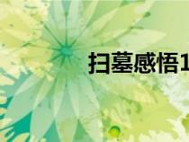 掃墓感悟150字（掃墓感悟）