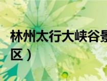 林州太行大峽谷景區(qū)官網(wǎng)（林州太行大峽谷景區(qū)）
