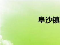 阜沙鎮(zhèn)政府（阜沙鎮(zhèn)）