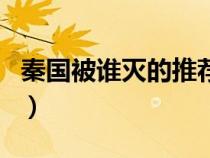 秦國被誰滅的推薦一下電視?。ㄇ貒徽l滅的）