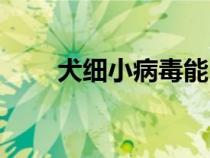犬細小病毒能自愈嗎（犬細小病毒）