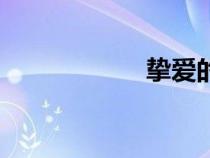 摯愛的英文（摯愛）