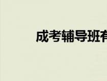 成考輔導班有用嗎（成考輔導班）