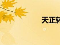 天正轉(zhuǎn)t3（天正轉(zhuǎn)）