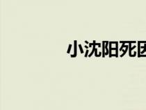 小沈陽死因調(diào)查（小沈陽死）