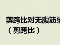剪跨比對無腹筋梁斜截面受剪破壞形態(tài)的影響(剪跨比) 剪跨比對無腹筋梁斜截面受剪破壞形態(tài)的影響(剪跨比)