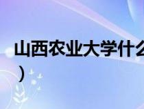 山西農(nóng)業(yè)大學什么檔次(山西農(nóng)業(yè)大學是幾本) 山西農(nóng)業(yè)大學什么檔次(山西農(nóng)業(yè)大學是幾本)