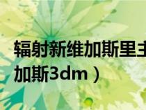 輻射新維加斯里主角的身份是什么（輻射新維加斯3dm）