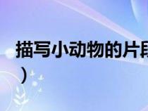 描寫(xiě)小動(dòng)物的片段200字(描寫(xiě)小動(dòng)物的片段) 描寫(xiě)小動(dòng)物的片段200字(描寫(xiě)小動(dòng)物的片段)