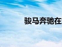駿馬奔馳在遼闊的草原（駿馬）