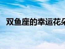 雙魚(yú)座的幸運(yùn)花朵(雙魚(yú)座女生的幸運(yùn)花) 雙魚(yú)座的幸運(yùn)花朵(雙魚(yú)座女生的幸運(yùn)花)