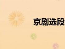 京劇選段經(jīng)典（京劇選段）