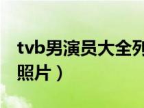tvb男演員大全列表 名字（tvb男演員名字及照片）