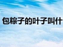 包粽子的葉子叫什么名字?。ò兆拥娜~子）
